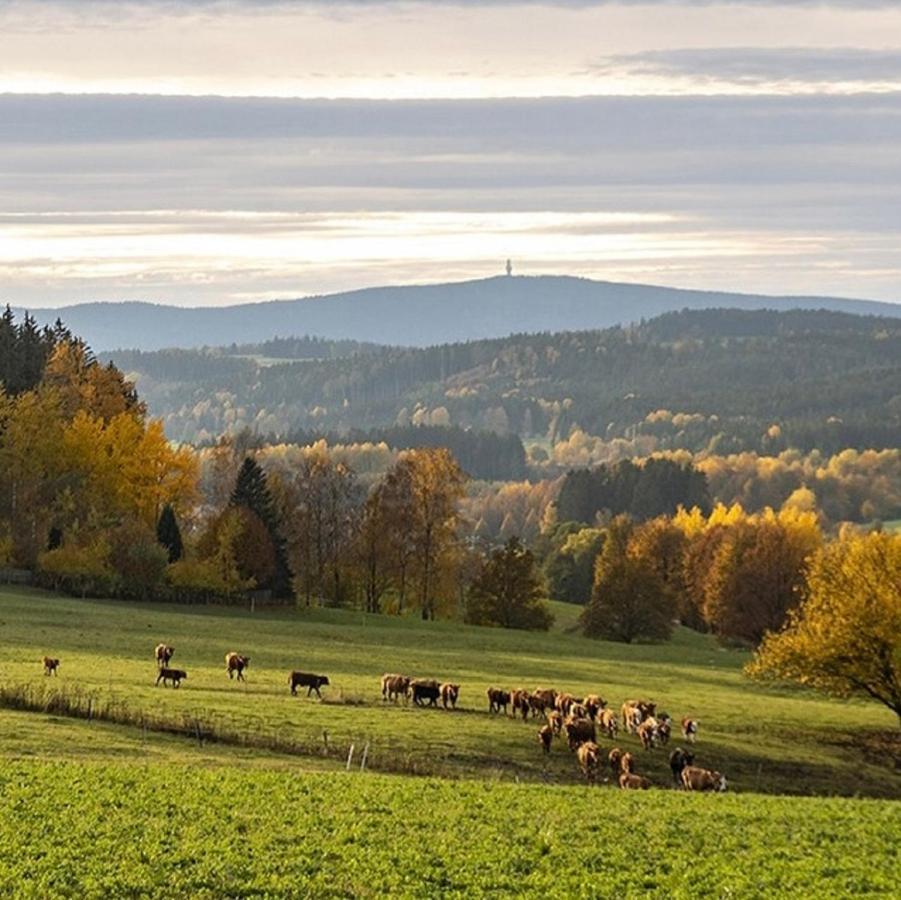Ferienwohnungen Fichtelgruen Wunsiedel Extérieur photo